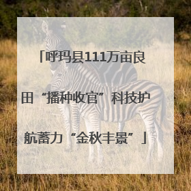 呼玛县111万亩良田“播种收官”科技护航蓄力“金秋丰景”