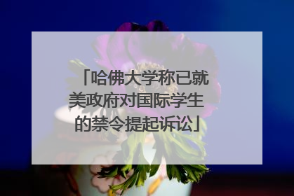 哈佛大学称已就美政府对国际学生的禁令提起诉讼