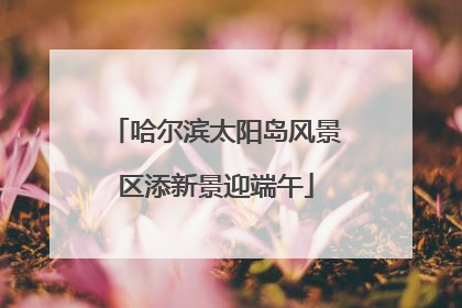 哈尔滨太阳岛风景区添新景迎端午