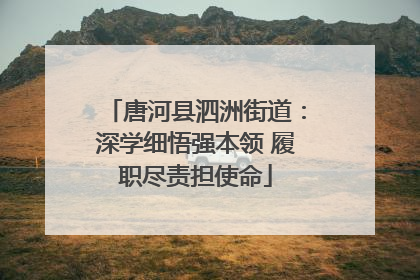 唐河县泗洲街道：深学细悟强本领 履职尽责担使命