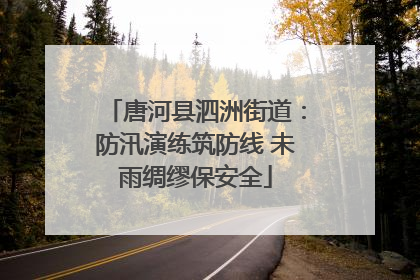 唐河县泗洲街道：防汛演练筑防线 未雨绸缪保安全