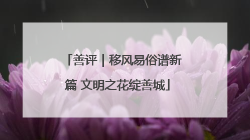 善评｜移风易俗谱新篇 文明之花绽善城