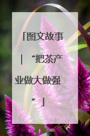 图文故事｜“把茶产业做大做强”
