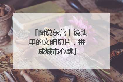 图说东营丨镜头里的文明切片，拼成城市心跳