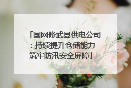 国网修武县供电公司：持续提升仓储能力 筑牢防汛安全屏障