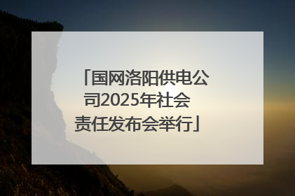 国网洛阳供电公司2025年社会责任发布会举行