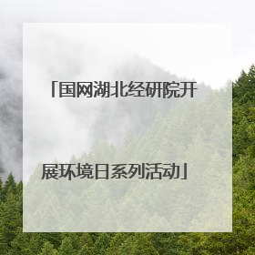 国网湖北经研院开展环境日系列活动