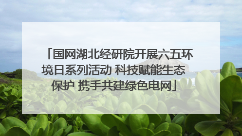 国网湖北经研院开展六五环境日系列活动 科技赋能生态保护 携手共建绿色电网