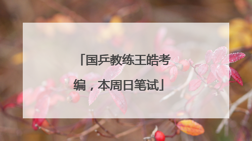国乒教练王皓考编，本周日笔试