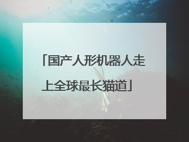 国产人形机器人走上全球最长猫道