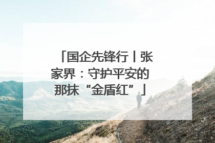国企先锋行丨张家界：守护平安的那抹“金盾红”