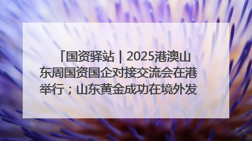国资驿站｜2025港澳山东周国资国企对接交流会在港举行；山东黄金成功在境外发行3亿美元绿色债券