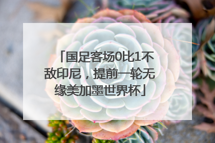 国足客场0比1不敌印尼，提前一轮无缘美加墨世界杯
