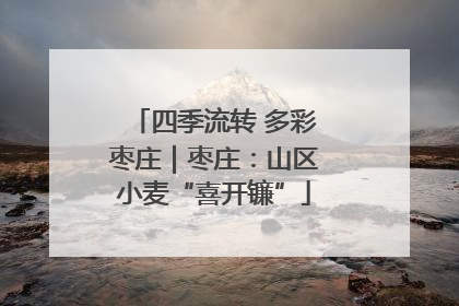 四季流转 多彩枣庄｜枣庄：山区小麦“喜开镰”