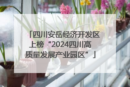 四川安岳经济开发区上榜“2024四川高质量发展产业园区”