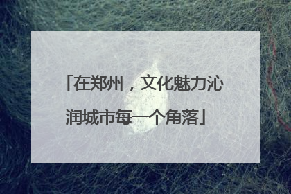 在郑州，文化魅力沁润城市每一个角落