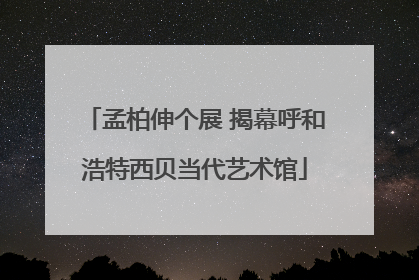 孟柏伸个展 揭幕呼和浩特西贝当代艺术馆