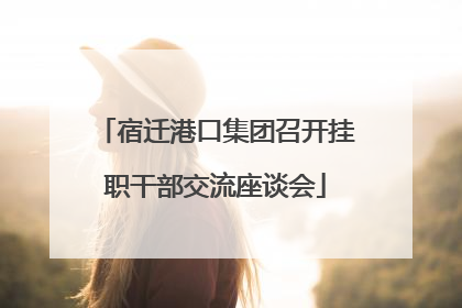 宿迁港口集团召开挂职干部交流座谈会