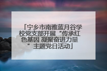 宁乡市南雅蓝月谷学校党支部开展“传承红色基因 凝聚奋进力量”主题党日活动