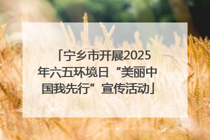 宁乡市开展2025年六五环境日“美丽中国我先行”宣传活动