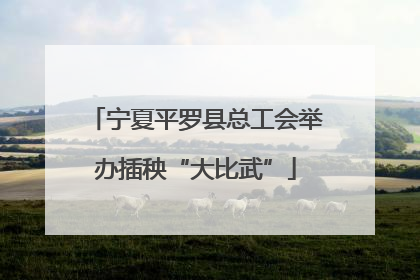 宁夏平罗县总工会举办插秧“大比武”