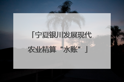 宁夏银川发展现代农业精算“水账”
