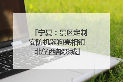 宁夏：景区定制安防机器狗亮相镇北堡西部影城