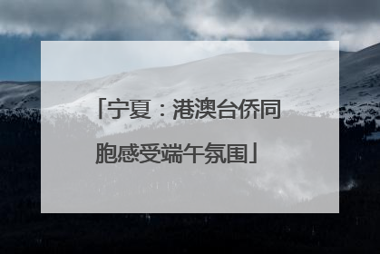 宁夏：港澳台侨同胞感受端午氛围