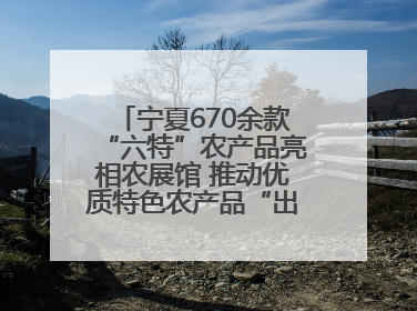 宁夏670余款“六特”农产品亮相农展馆 推动优质特色农产品“出宁进京”