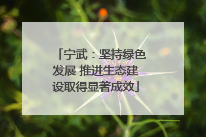 宁武：坚持绿色发展 推进生态建设取得显著成效