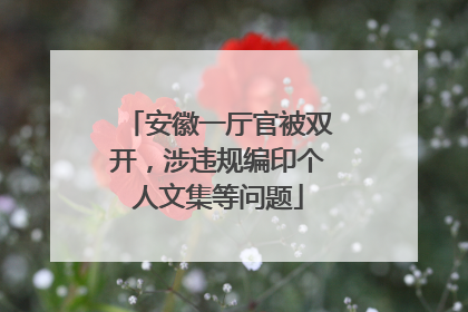 安徽一厅官被双开，涉违规编印个人文集等问题