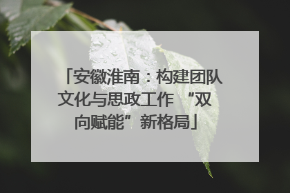 安徽淮南：构建团队文化与思政工作 “双向赋能”新格局