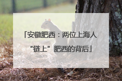 安徽肥西：两位上海人“链上”肥西的背后