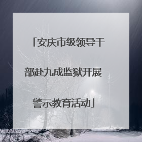 安庆市级领导干部赴九成监狱开展警示教育活动