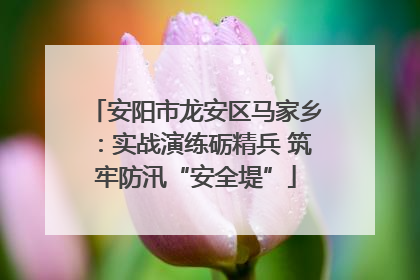 安阳市龙安区马家乡：实战演练砺精兵 筑牢防汛“安全堤”