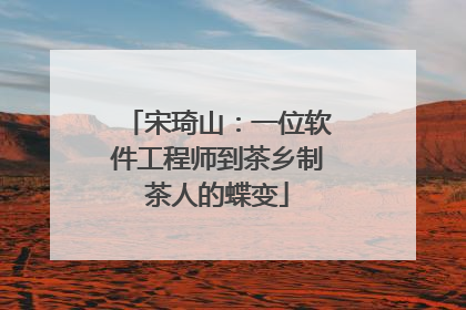 宋琦山：一位软件工程师到茶乡制茶人的蝶变
