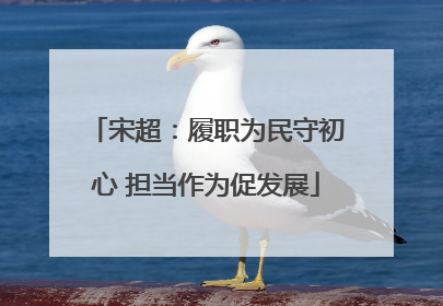 宋超：履职为民守初心 担当作为促发展
