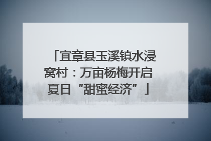 宜章县玉溪镇水浸窝村：万亩杨梅开启夏日“甜蜜经济”