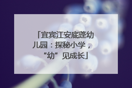 宜宾江安底蓬幼儿园：探秘小学，“幼”见成长