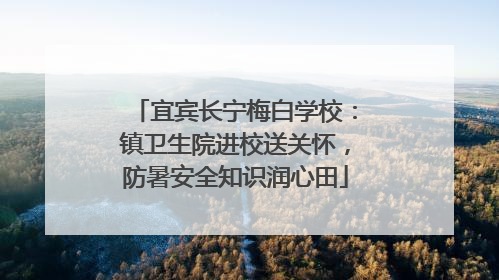 宜宾长宁梅白学校：镇卫生院进校送关怀，防暑安全知识润心田
