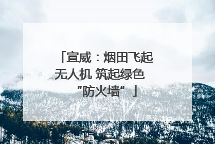 宣威：烟田飞起无人机 筑起绿色“防火墙”