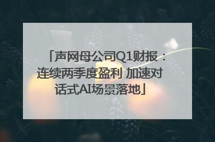 声网母公司Q1财报：连续两季度盈利 加速对话式AI场景落地