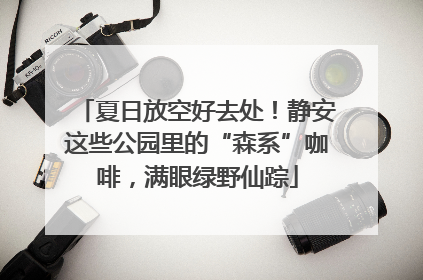 夏日放空好去处！静安这些公园里的“森系”咖啡，满眼绿野仙踪