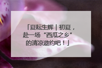 夏耘生辉｜初夏，赴一场“西瓜之乡”的清凉邀约吧！