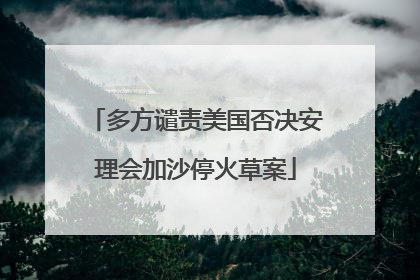 多方谴责美国否决安理会加沙停火草案