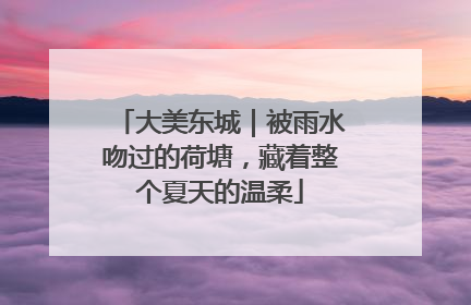 大美东城｜被雨水吻过的荷塘，藏着整个夏天的温柔