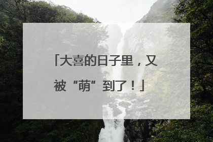 大喜的日子里，又被“萌”到了！