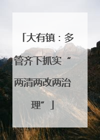 大有镇：多管齐下抓实“两清两改两治理”