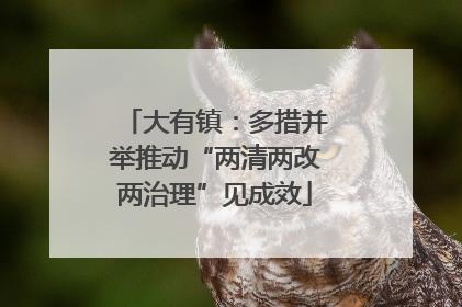 大有镇：多措并举推动“两清两改两治理”见成效