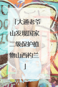 大通老爷山发现国家二级保护植物山西杓兰